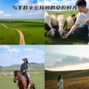呼和浩特旅游 缩略图 1