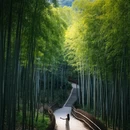 舟山旅游 缩略图 4