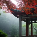 长沙旅游 缩略图 8