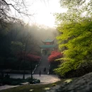 长沙旅游 缩略图 6