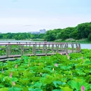 翡翠湖风景区 - 合肥市旅游 缩略图 1