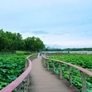 翡翠湖风景区 - 合肥市旅游 缩略图 8