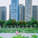 翡翠湖风景区 - 合肥市旅游 缩略图 6