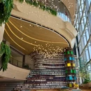 重庆光环购物公园 - 重庆市旅游 缩略图 9