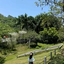 长岭植树公园 - 广州市旅游 缩略图 5