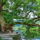 月亮湾景区 - 上饶市旅游 缩略图 2