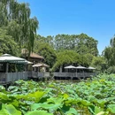 上海植物园 - 上海市旅游 缩略图 3