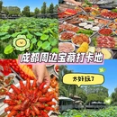 上海植物园 - 上海市旅游 缩略图 1