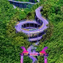 天子地山野乐园 - 杭州市旅游 缩略图 1
