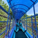 天子地山野乐园 - 杭州市旅游 缩略图 8