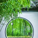 浮庄 - 合肥市旅游 缩略图 6