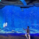 长沙湘江欢乐海洋公园 - 长沙市旅游 缩略图 5