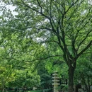 临平公园 - 杭州市旅游 缩略图 3