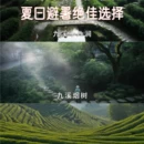 杭州旅游 缩略图 1