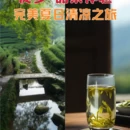 杭州旅游 缩略图 3