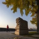 南京旅游 缩略图 9