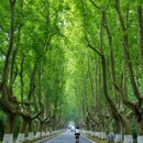 南京旅游 缩略图 4