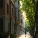 南京旅游 缩略图 6