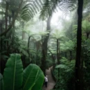 厦门旅游 缩略图 6