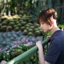 厦门旅游 缩略图 7