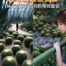 厦门旅游 缩略图 3
