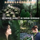 厦门旅游 缩略图 1