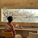 釜山 - 韩国旅游 缩略图 6