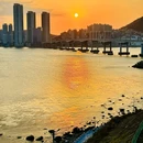 釜山 - 韩国旅游 缩略图 9