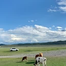 巴音布鲁克SKY HIGH云野 - 巴音郭楞蒙古自治州旅游 缩略图 9