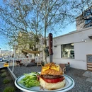 梧桐树下·bistro - 大连市旅游 缩略图 5
