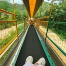 南京龙出没乐园 - 南京市旅游 缩略图 6