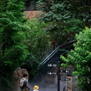 梨木台风景区 - 天津市旅游 缩略图 1