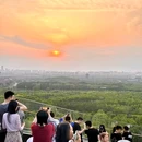 北京南苑森林湿地公园 - 北京市旅游 缩略图 5