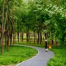 北京南苑森林湿地公园 - 北京市旅游 缩略图 3