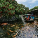 广州市帽峰山景区 - 广州市旅游 缩略图 7