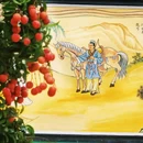 广州市帽峰山景区 - 广州市旅游 缩略图 8