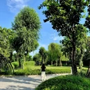 京顺园公园 - 北京市旅游 缩略图 4