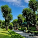 京顺园公园 - 北京市旅游 缩略图 6