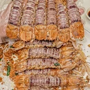 十二道海味·潮汕小海鲜(前海店) - 深圳市旅游 缩略图 9