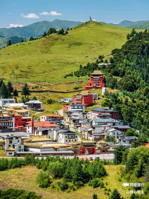 川西竹海 - 乐山市旅游