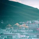 川西竹海 - 乐山市旅游 缩略图 6