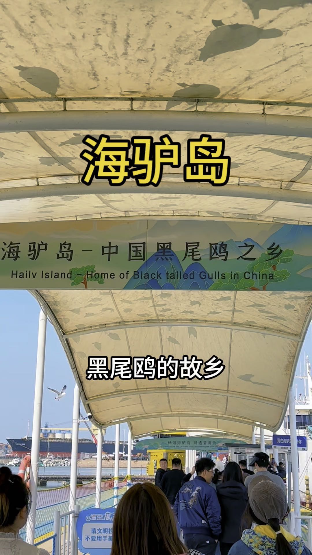 海驴岛风景区码头 - 威海市旅游