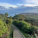 新西兰 - 海外旅游 缩略图 3