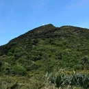 新西兰 - 海外旅游 缩略图 5