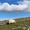 英国威尔士Conwy - 康威旅游 缩略图 9