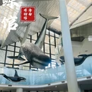爱华酒店(海南琼海市中心高铁站万泉河店) - 琼海市旅游 缩略图 7