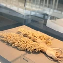 爱华酒店(海南琼海市中心高铁站万泉河店) - 琼海市旅游 缩略图 8