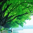 灵谷寺 - 南京市旅游 缩略图 2