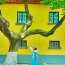 灵谷寺 - 南京市旅游 缩略图 1