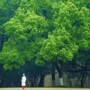 灵谷寺 - 南京市旅游 缩略图 6